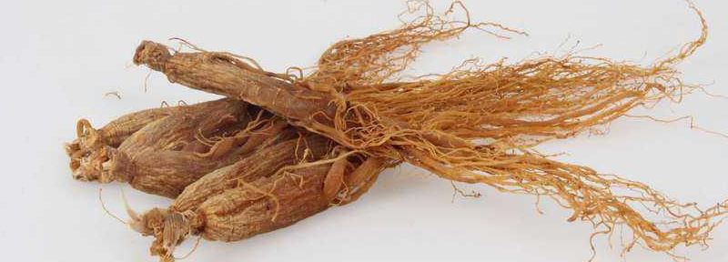 Red-ginseng