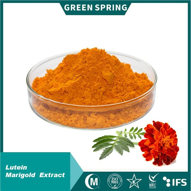 عصاره گل Marigold 10 ٪ پودر لوتین